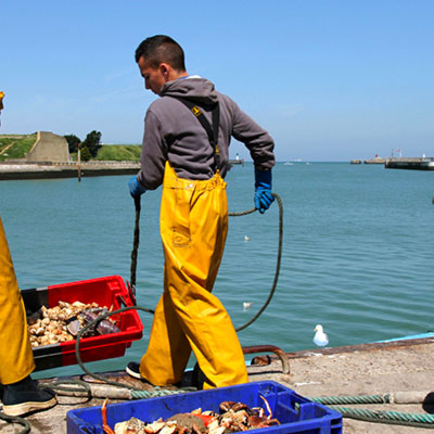 Petite pêche à Calais 